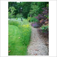 Wildflower Turf (image 4)