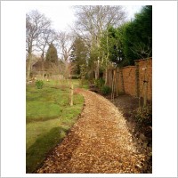 Wildflower Turf (image 3)