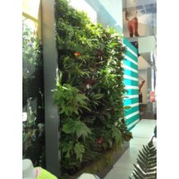 treebox 3