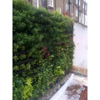 treebox 4