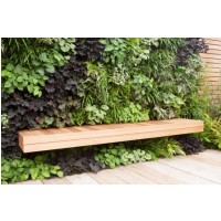 treebox 5