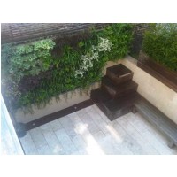 treebox 6