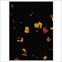 BSW Primaflex Everroll (image 2)