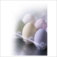 earthBorn proAqua Eggshell (image 2)