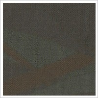 Shaw Contract Group Broadloom (image 6)